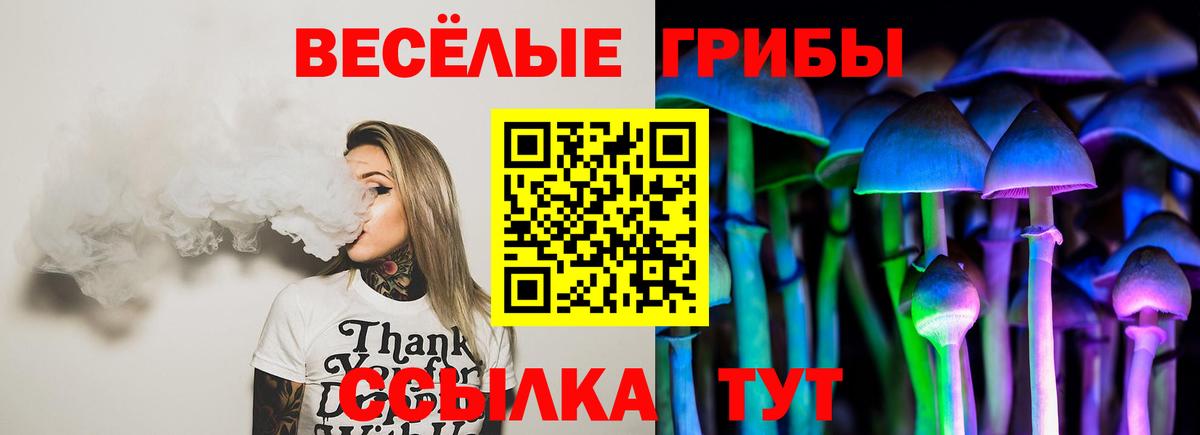 Галлюциногенные грибы MAGIC MUSHROOMS Тельмана